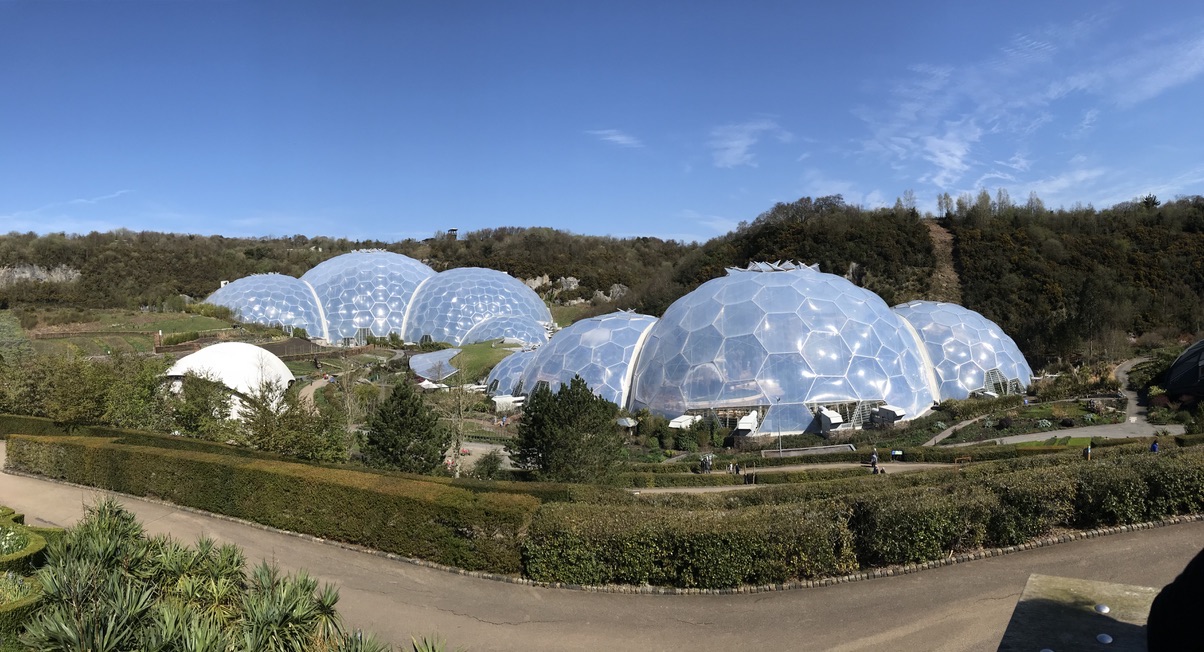 The Eden Project biomes in their clay pit, seen from the path above on a clear day