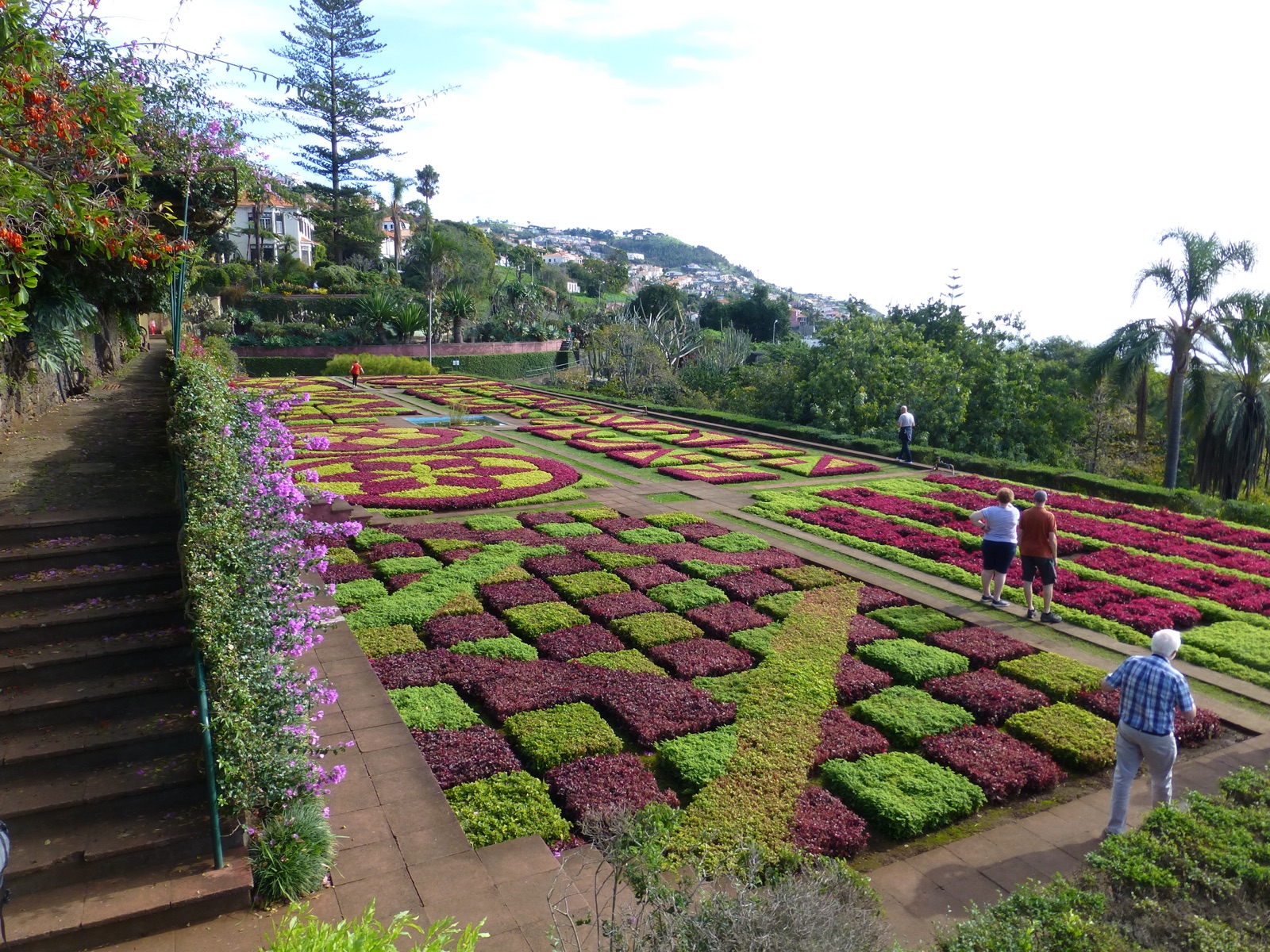 The botanical garden above Funchal, Madeira, its beds laid out in geometric patterns down the hillside