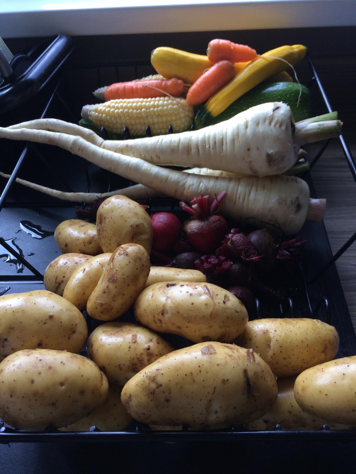A rack of freshly dug vegetables — potatoes, parsnips, carrots, beetroot, sweetcorn and courgettes